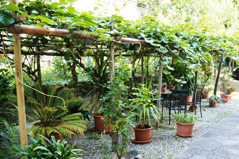 Cafe Rudi Living Bed & Breakfast Parcines Ngoại thất bức ảnh